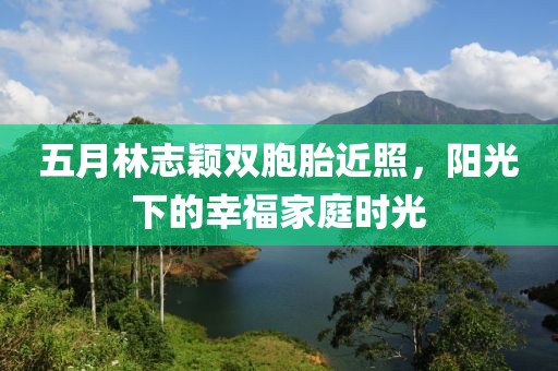 五月林志穎雙胞胎近照，陽光下的幸福家庭時光