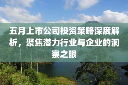 五月上市公司投資策略深度解析，聚焦潛力行業與企業的洞察之眼