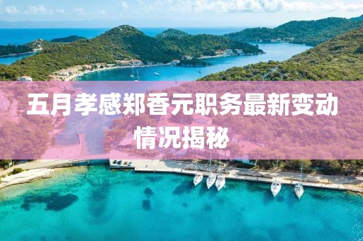 五月孝感鄭香元職務最新變動情況揭秘