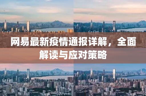 網易最新疫情通報詳解，全面解讀與應對策略