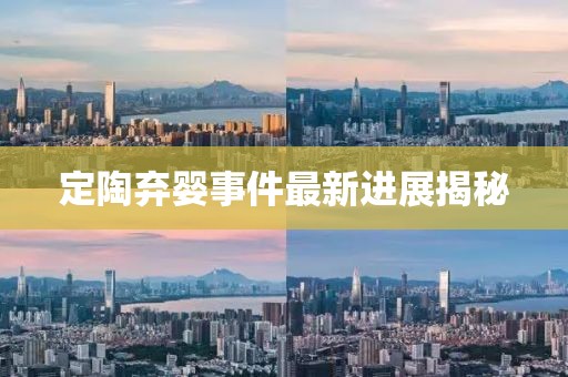 定陶棄嬰事件最新進展揭秘