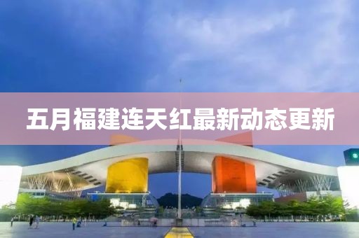 五月福建連天紅最新動態更新