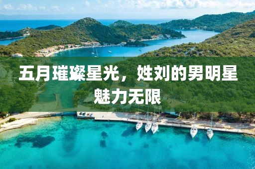 五月璀璨星光，姓劉的男明星魅力無限