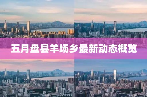 五月盤縣羊場鄉最新動態概覽