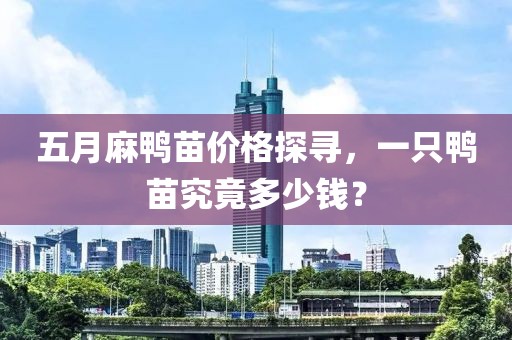 五月麻鴨苗價格探尋，一只鴨苗究竟多少錢？