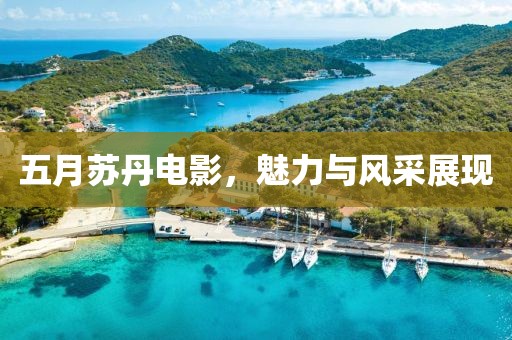 五月蘇丹電影，魅力與風采展現