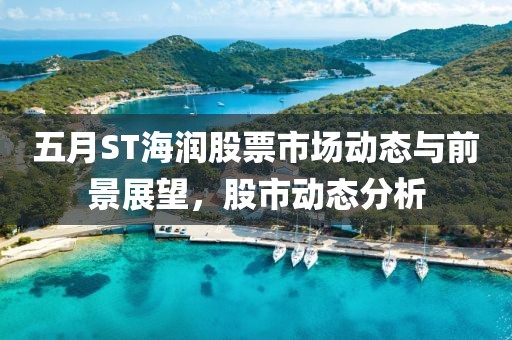 五月ST海潤股票市場動態與前景展望，股市動態分析