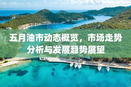 五月油市動態概覽，市場走勢分析與發展趨勢展望