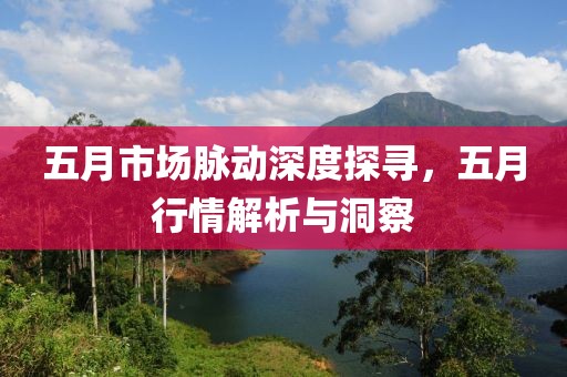 五月市場脈動深度探尋，五月行情解析與洞察