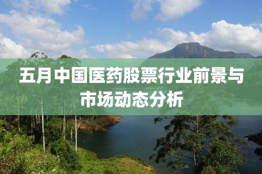 五月中國醫藥股票行業前景與市場動態分析