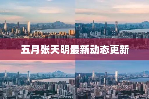 五月張天明最新動態更新