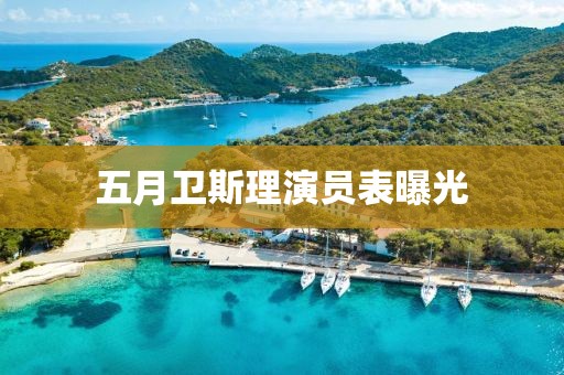 五月衛斯理演員表曝光