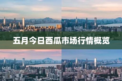 五月今日西瓜市場行情概覽