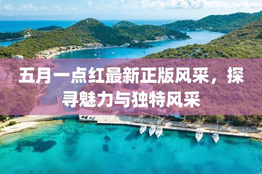 五月一點紅最新正版風采，探尋魅力與獨特風采