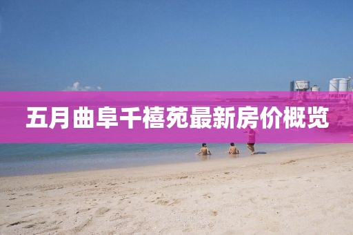 五月曲阜千禧苑最新房價概覽