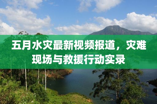 五月水災最新視頻報道，災難現場與救援行動實錄