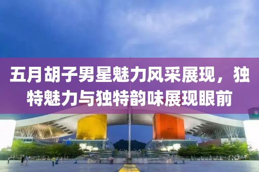 五月胡子男星魅力風采展現，獨特魅力與獨特韻味展現眼前