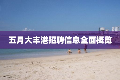 五月大豐港招聘信息全面概覽