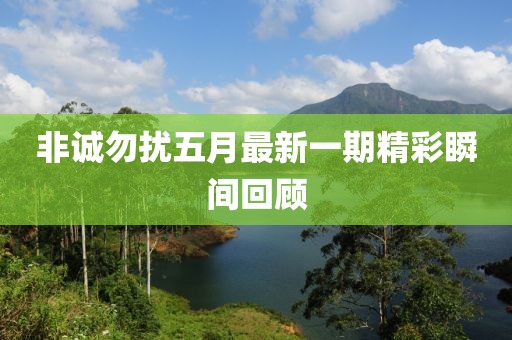 非誠勿擾五月最新一期精彩瞬間回顧