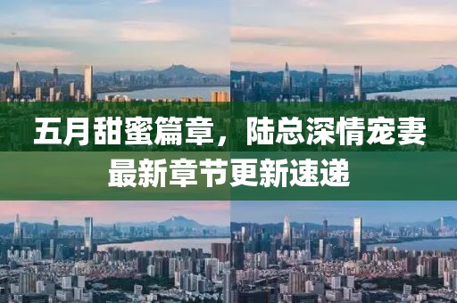 五月甜蜜篇章，陸總深情寵妻最新章節更新速遞