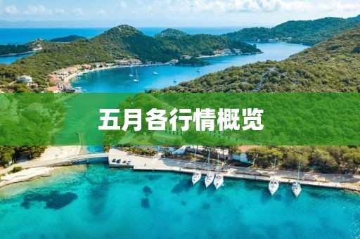五月各行情概覽