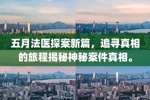 五月法醫探案新篇，追尋真相的旅程揭秘神秘案件真相。