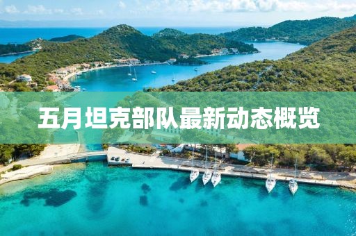 夷白亦