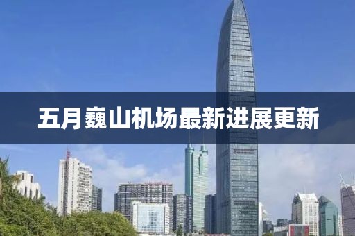 五月巍山機場最新進展更新