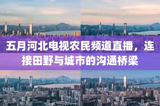 五月河北電視農民頻道直播，連接田野與城市的溝通橋梁