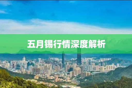 五月錫行情深度解析