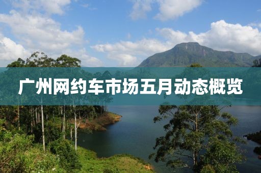 廣州網約車市場五月動態概覽