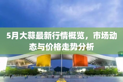 5月大蒜最新行情概覽，市場動態與價格走勢分析