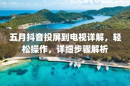 五月抖音投屏到電視詳解，輕松操作，詳細步驟解析