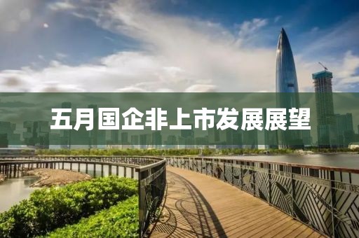 五月國企非上市發展展望