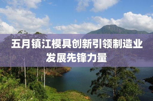 五月鎮江模具創新引領制造業發展先鋒力量