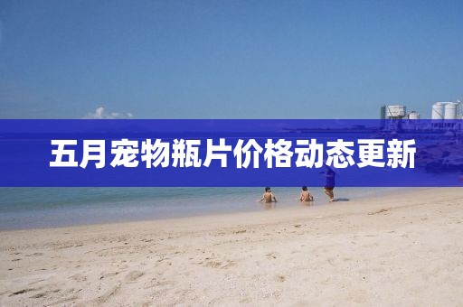 五月寵物瓶片價格動態更新