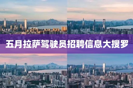 五月拉薩駕駛員招聘信息大搜羅