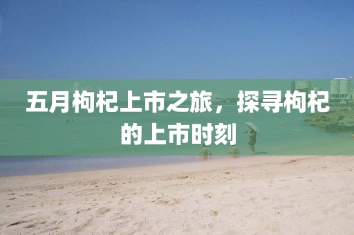 五月枸杞上市之旅，探尋枸杞的上市時刻