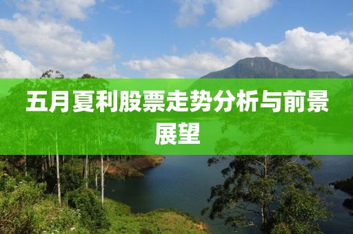 五月夏利股票走勢分析與前景展望