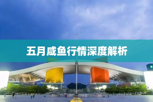 五月咸魚行情深度解析