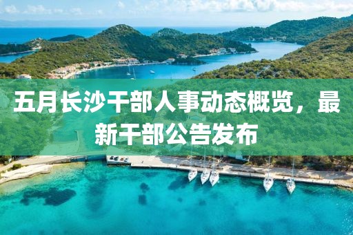 五月長沙干部人事動態概覽，最新干部公告發布