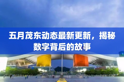 五月茂東動態最新更新，揭秘數字背后的故事