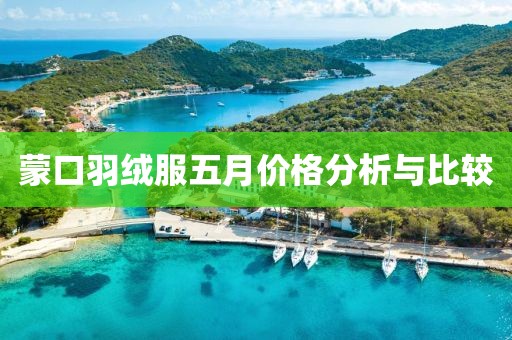 蒙口羽絨服五月價格分析與比較