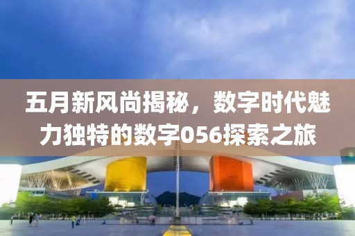 五月新風尚揭秘，數字時代魅力獨特的數字056探索之旅
