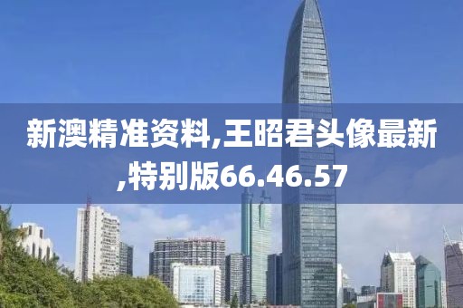 新澳精準資料,王昭君頭像最新,特別版66.46.57