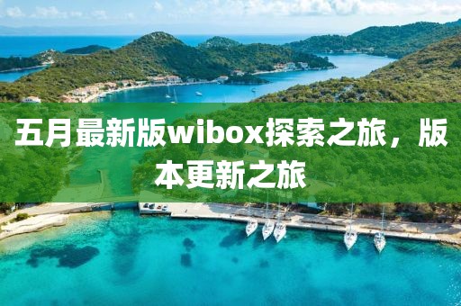 五月最新版wibox探索之旅，版本更新之旅