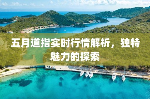 五月道指實時行情解析，獨特魅力的探索