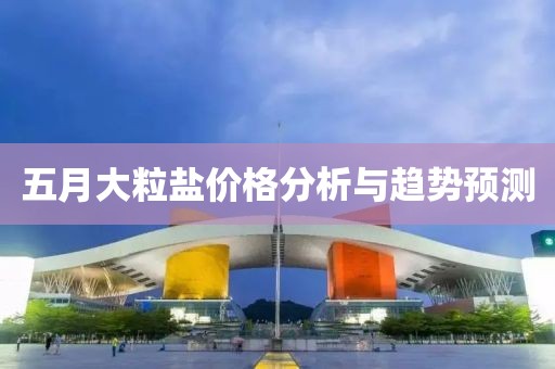 五月大粒鹽價格分析與趨勢預測