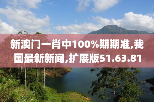 新澳門一肖中100%期期準,我國最新新聞,擴展版51.63.81