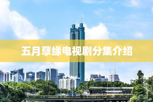 五月孽緣電視劇分集介紹